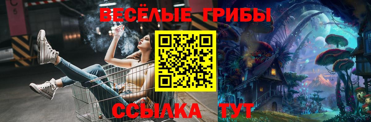 Галлюциногенные грибы мухоморы  Вход с VPN  Бийск 