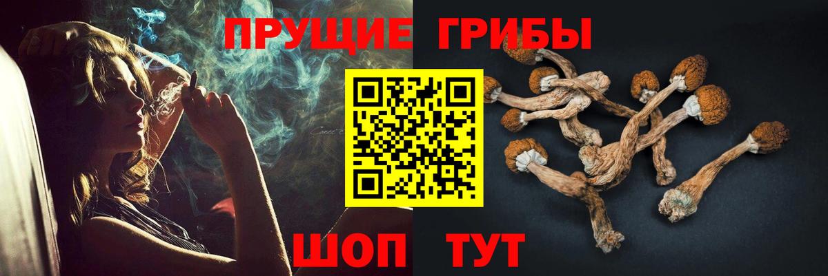 Галлюциногенные грибы MAGIC MUSHROOMS Бийск